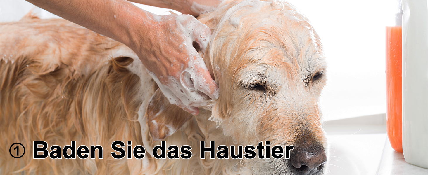 Набір професійних ножиць для грумінгу собак CIICII 10-в-1 з безпечними закругленими кінцями (для собак, котів, тварин). Підходить для стрижки, прорізування та формування шерсті. Срібно-чорний колір.