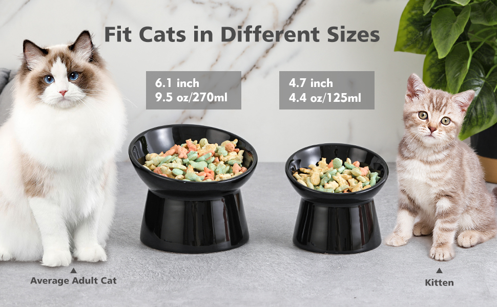 Котло propositions: Keramічний годівниця для котів з підняттям - запобігання блювоті, 15° нахил, 280 мл, білий