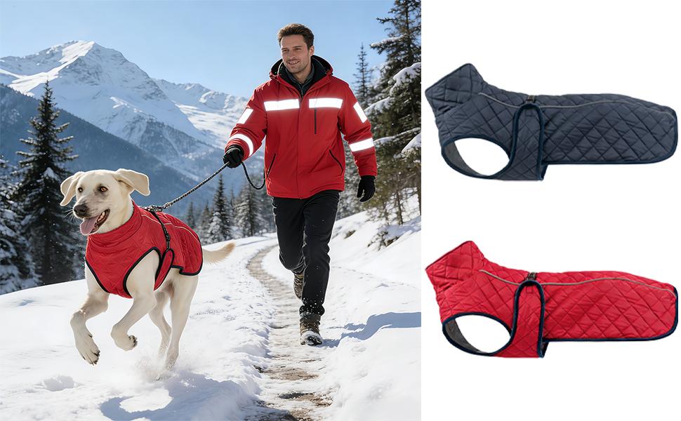 Зимовий теплий одяг для собак: вітронепроникна бавовняна жилетка, утеплена модель для прогулянок, походів, кемпінгу та міста (морська синя)