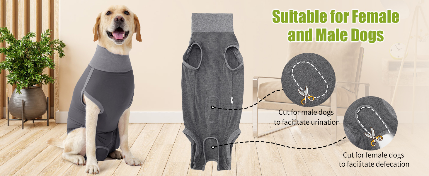 Комбінезон для собак після операцій Heywean – кастрація, стерилізація, післяопераційний одяг, сірий, L