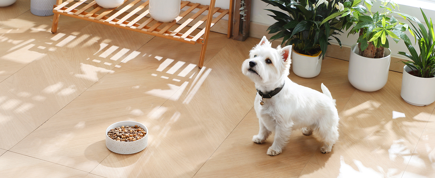 Миска для собак Malacasa з підставкою з горіхового дерева, 450 мл, подвійна миска для собак та котів, для корму та води, неслизька підставка, дизайн у стилі квітки та соти (450 мл, 1 шт.)