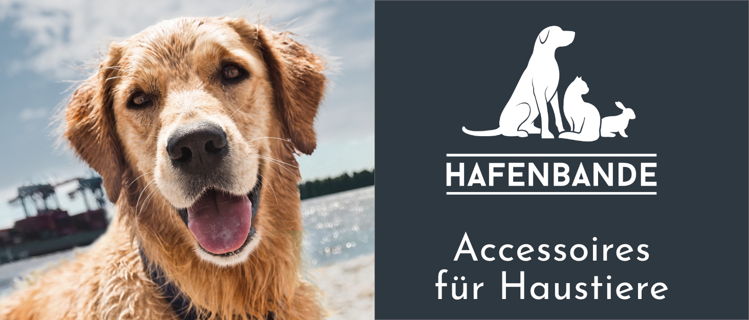 Машинка для стрижки собак та котів 2-в-1 Hafenbande з точилом для кігтів | 3 насадки для стрижки, 3 гребені, пилка для кігтів | Вологостійка | Догляд за шерстю від носа до кінчиків