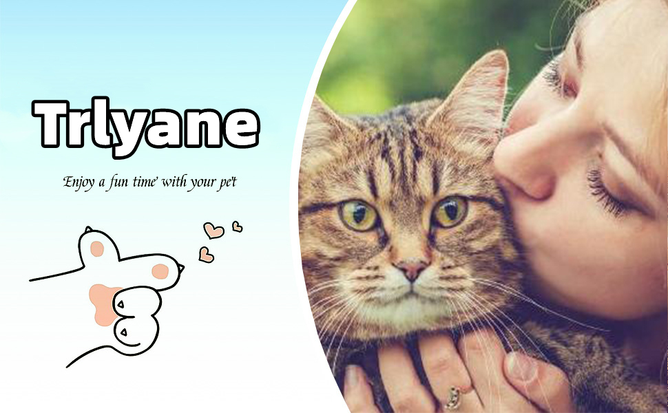 Набір мисок для котів (6 шт), керамічні, 14 см, для води, сухого та вологого корму