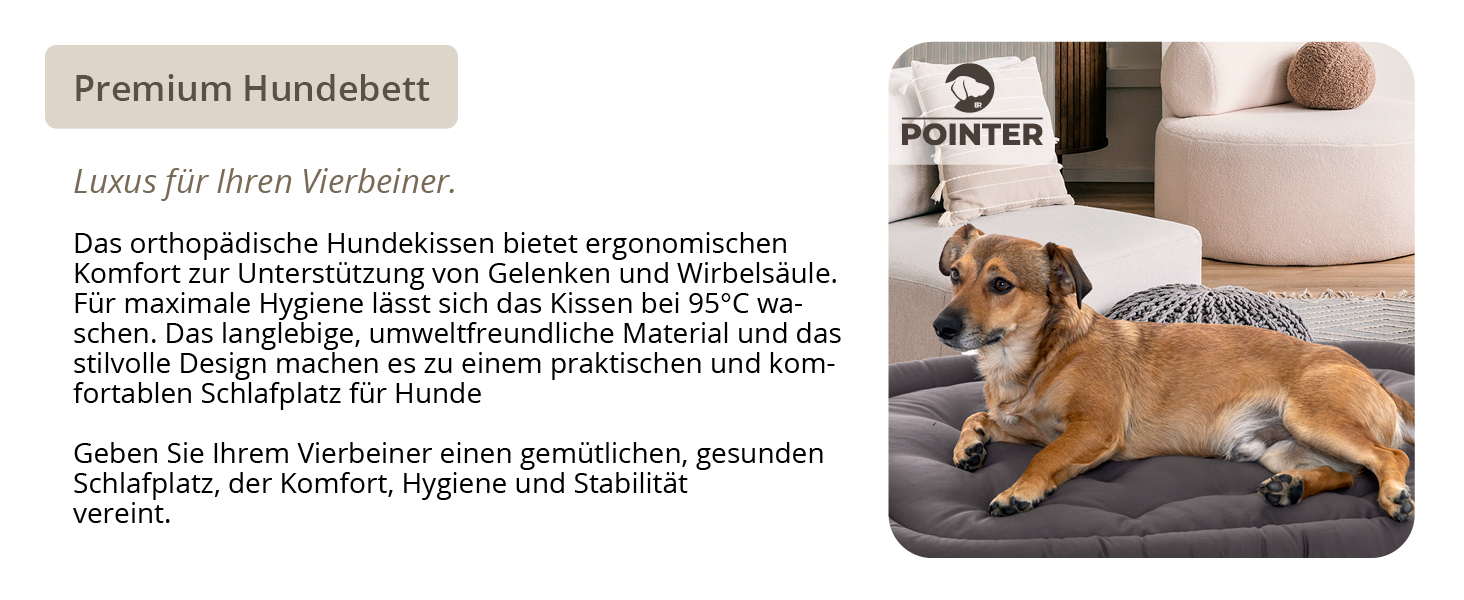 Ортопедичний лежак для собак середніх порід, 90x60 см - Лежанка для собак, що миється до 95°C, без запаху, міцна, для використання в приміщенні та на вулиці, Made in Germany (L - 90x60 см, Антрацит)