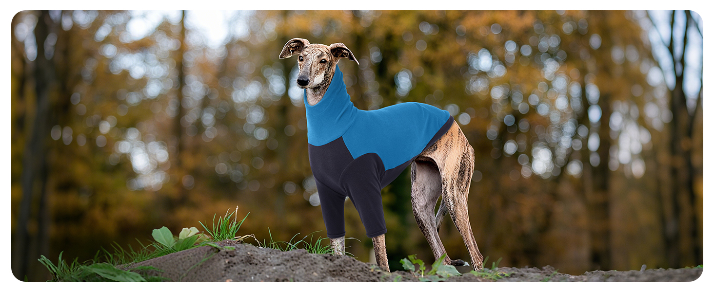 Пуловер з коміром-стійкою для породи Віндхаунд, теплий зимовий пуловер для Віндхаундів, куртка для Лурчерів, пуловер для собак середнього розміру, собачий світшот (Синій, M) M Синій