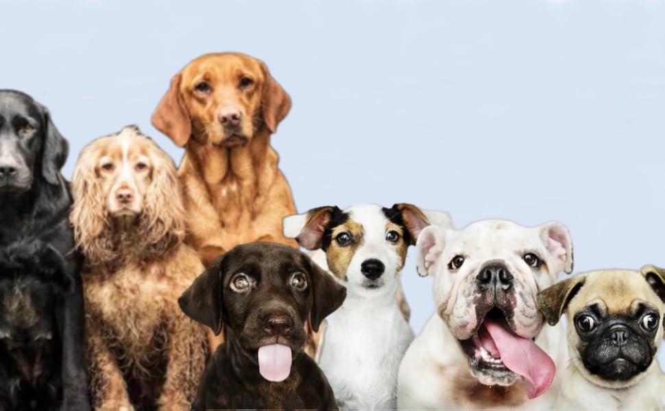 Транспортна сумка для собак та котів: рожева, складна, з регульованим плечовим ременем, 42 x 20 x 25.5 см