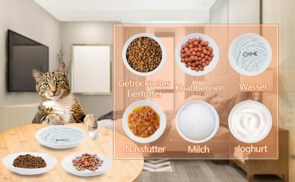 Набір мисок для котів CROUTE (6 шт.) - керамічні, плоскі, анти-високочування, білий (візерунок 'Рибка')