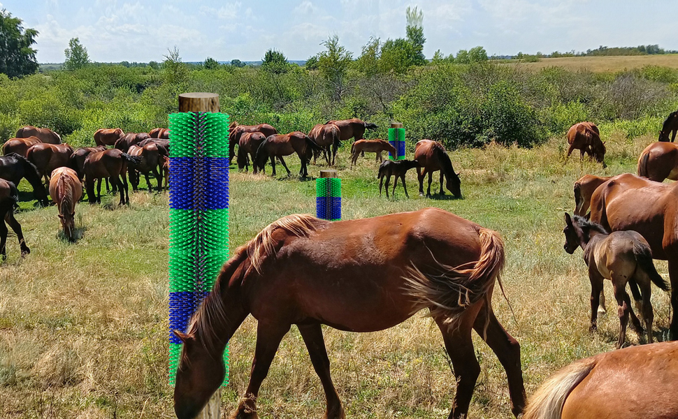 Щітка для догляду за кіньми та худобою, масажна щітка для корів, коней, овець, зняття свербежу, універсальна щітка для шерсті та гриви, 1 шт.