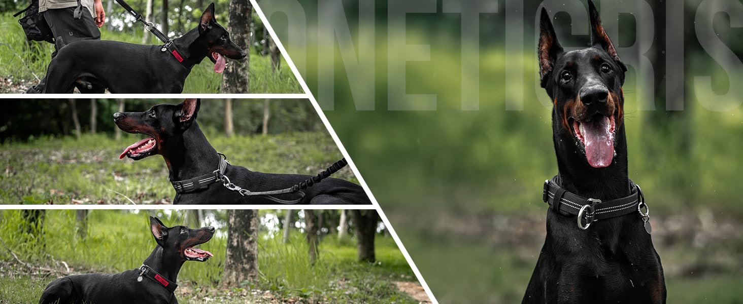 Нашийник для собак OneTigris Zug-Stopp, м'який з широкою підкладкою, з світловідбиваючими елементами, чорний, XL (для середніх та великих собак)