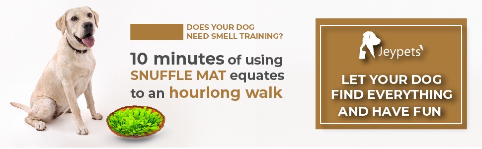 Schnüffelmatte для собак Jeypets з іграшкою-шнурком. Розвиває навички пошуку їжі. Чудовий подарунок на день народження вашого улюбленця.
