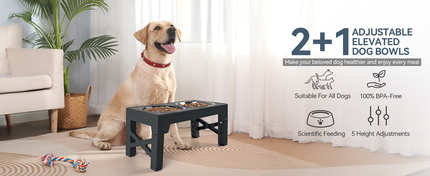 Підвищений годівниця для собак PAWISE, 5 рівнів регулювання, для собак маленьких, середніх та великих порід, з двома великими мисками з нержавіючої сталі, антиковзаюча, BPA free пластик