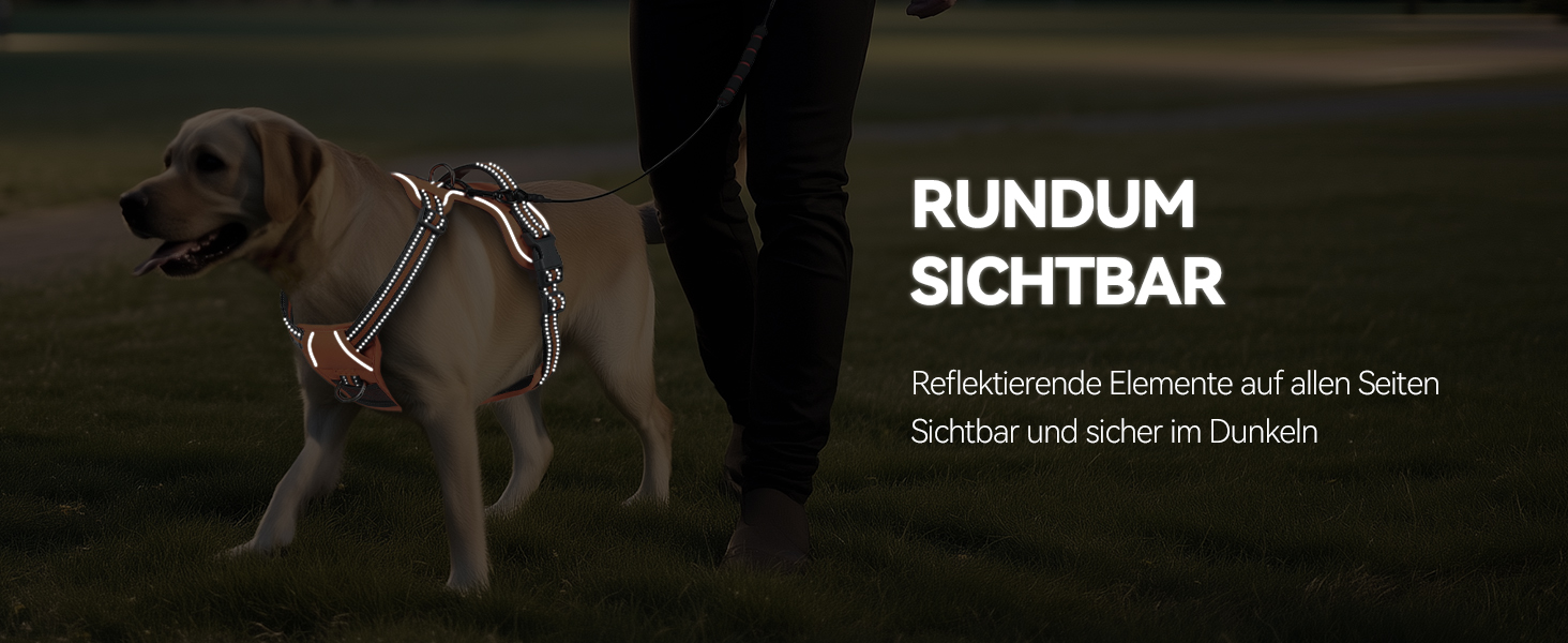 Шлейка для собак VIVAGLORY Easewalk, анти-тяга, для дресирування та прогулянок, з ручкою, не вислизає, для цуценят та собак, S, Sakura-Rosa, обхват грудей 36-61 см