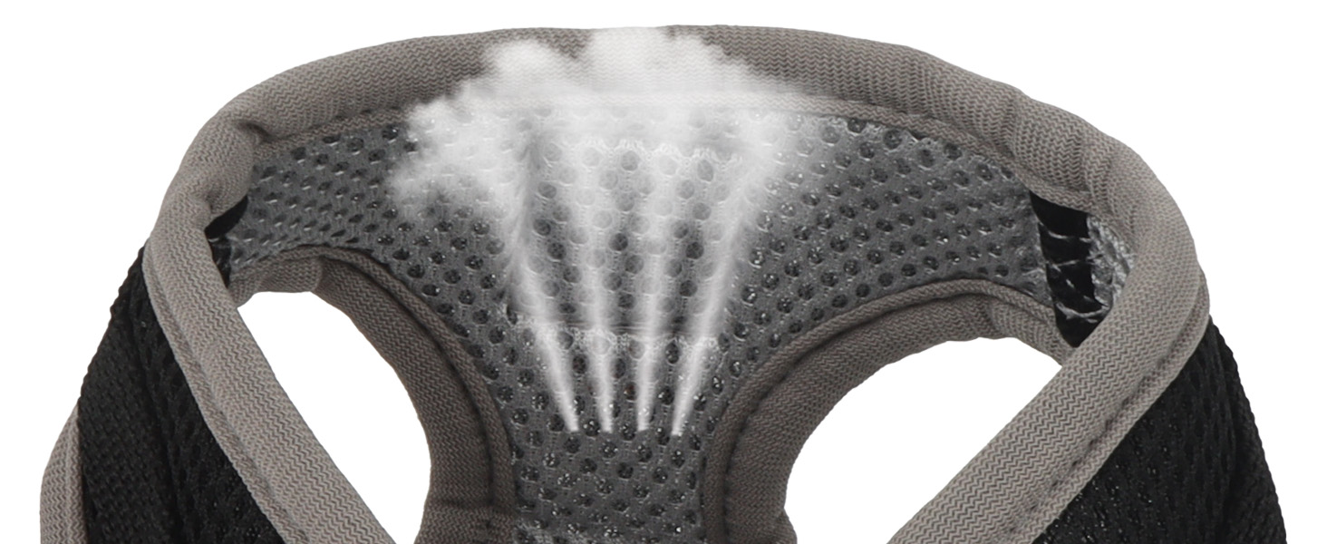 Нашийник для кота Bindokun з повідком, антивитік, комплект, чорний, S