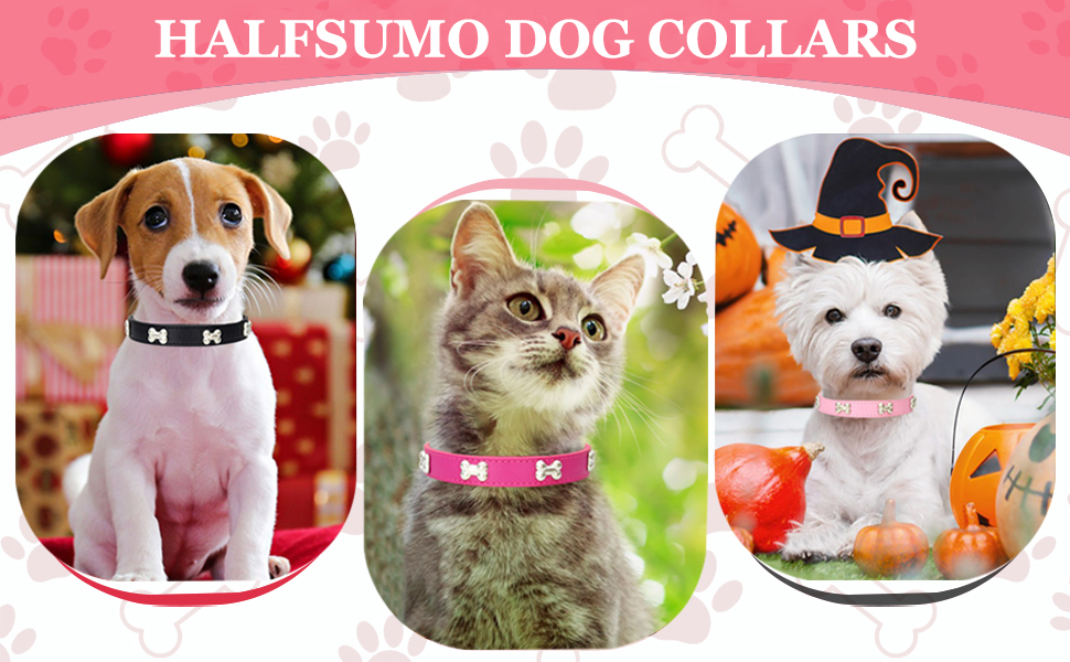 Нашийник для собак з шкіри та поводок-стрічка HALFSUMO: комплект для малих та середніх собак та котів, червоний