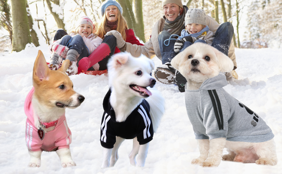 Худі для собак: стильний пуловер-кофта для маленьких, середніх собак, котів, чихуахуа, тедді. Теплий одяг на осінь/зиму, 3XL, рожевий колір