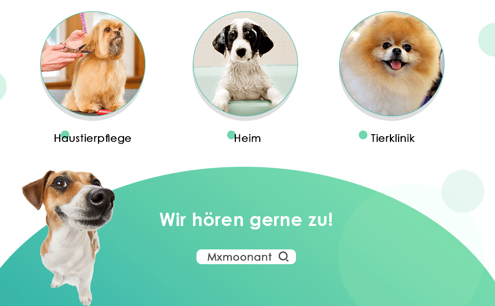 Фен для собак Mxmoonant 2800W з регулюванням потужності та температури, LED дисплеєм, контролем температури, іонізацією та набором насадок