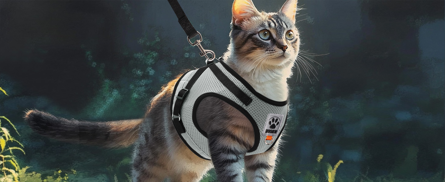 Нашийник для котів Bindokun з повідком, анти-вислизання, комплект, розмір M, сірий