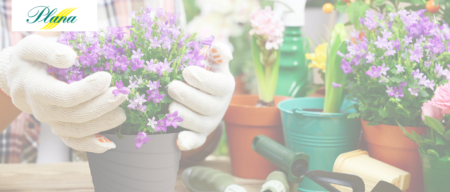 Номаде 3 - переноска для собак та котів, 60x40x38 см, до 12 кг, міцний поліпропілен, сірий колір