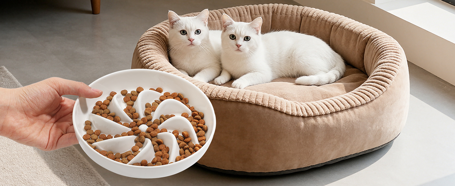 PETTOM Миска для котів протиковзаюча, піднята, керамічна, для повільного годування, біла. Підходить для котів та маленьких собак.