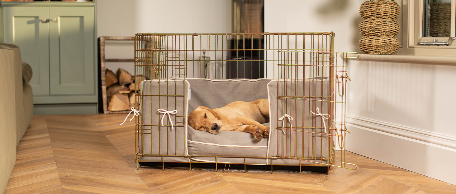 Клітка для собак Lords & Labradors XL, металева, срібляста