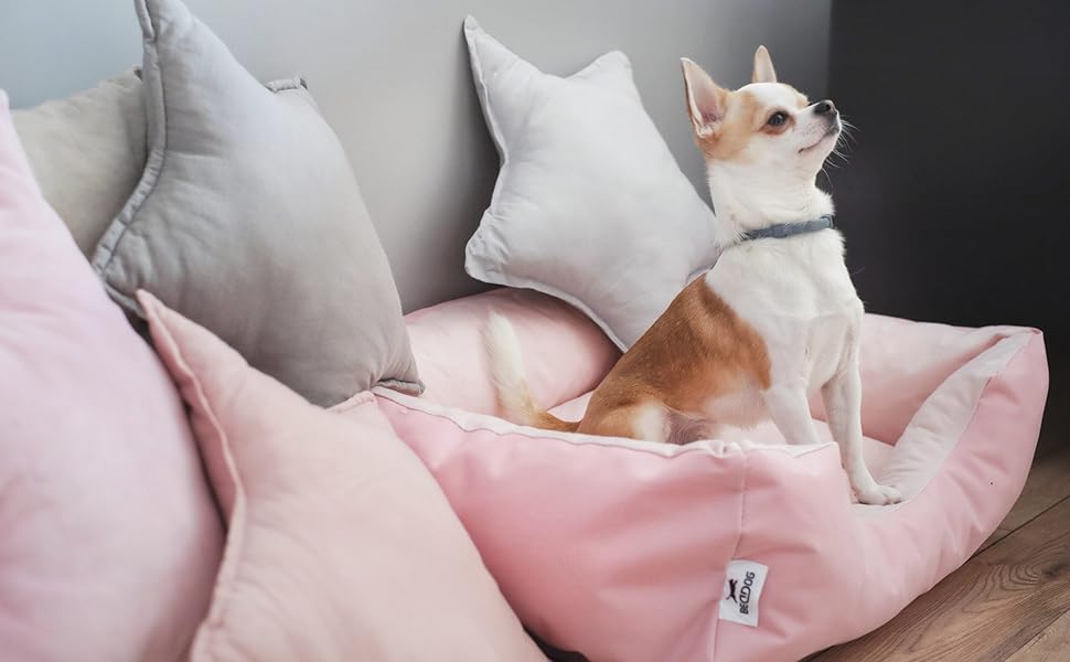 Крісло-ліжко для собак BedDog Teddy, чорно-сіре, XL, 100 x 85 x 23 см, Cordura & Microfaser-Velours