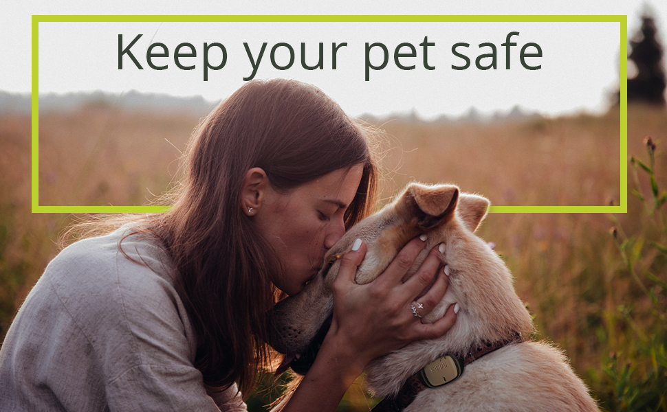 Нашийник для собак Кіппі EVO з GPS-кишенею, світловідбиваючим елементом, розмір S. М'який, зручний, водонепроникний нашийник для маленьких собак