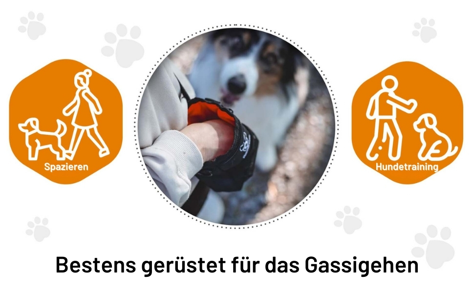 Сумка для ласощів для собак Hundefreund | Зручна сумка для тренувань з 4 відділеннями (14 x 11 x 4 см)