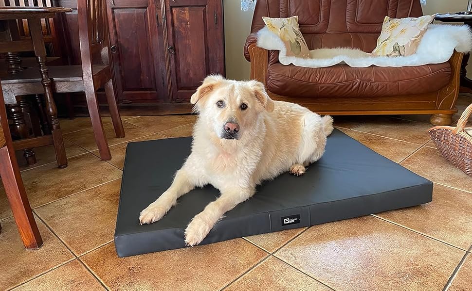 Килимок для собак Tina Grosse - лежанка для собак середнього та малого розміру. Лежанка для собак з еко-шкіри, миється, водонепроникна, м'яка, довговічна, стійка до зношування та розривів (XL, 100x80x8 см, Ecru)