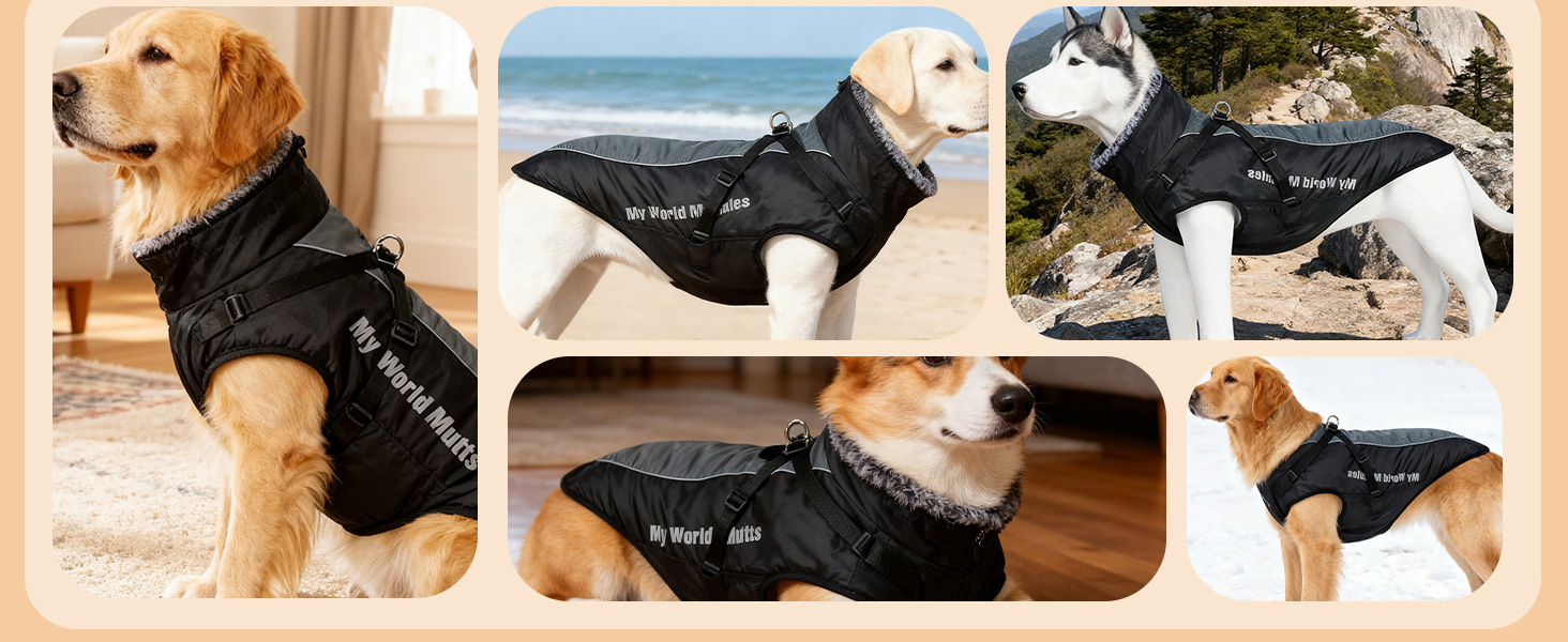 PETCUTE Водонепроникний зимовий одяг для собак, тепла куртка для маленьких та середніх собак, з кріпленням для повідка, 6XL, блакитний