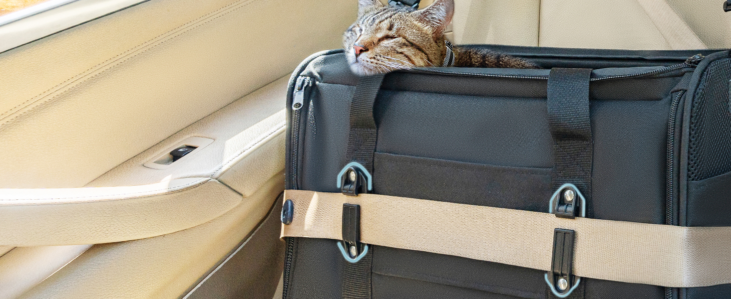 Переноска для кота та собаки Petsfit - чорна, розмір M (45.5 x 28 x 28 см) з м'яким килимком