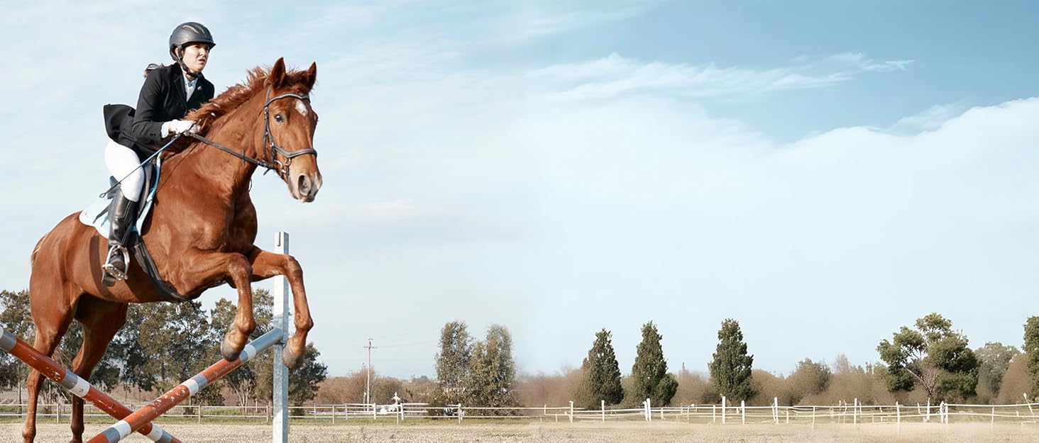 Спортивні штани для верхової їзди WILLIT жіночі зимові утеплені флісом, з силіконовим повним захопленням, термо штани з кишенями та петлями для ременя, M, темно-сірий