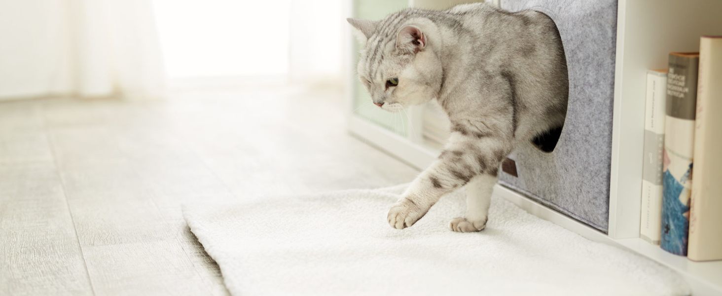 PiuPet® Самогрівальна котяча ковдра, 60x45 см, без електроенергії, тепла ковдра для котів, аксесуар для котів (біла)