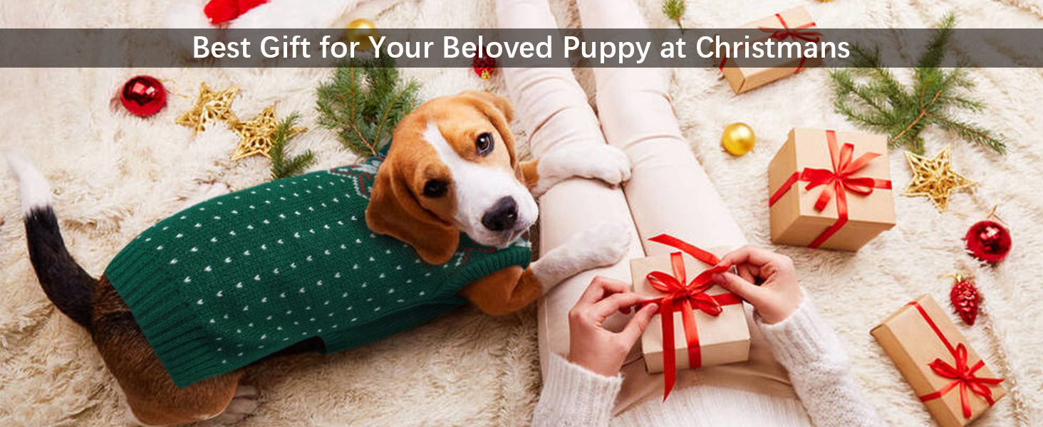 Пуловер для собак та котів Kuoser: теплий зимовий пуловер з візерунком сніжинок для маленьких та середніх порід, блакитний колір