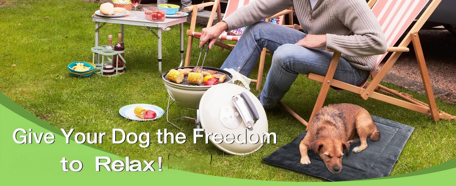 Водонепроникний килимок для собак Pawsse 127 x 70 см - для подорожей, авто, кемпінгу (сірий)