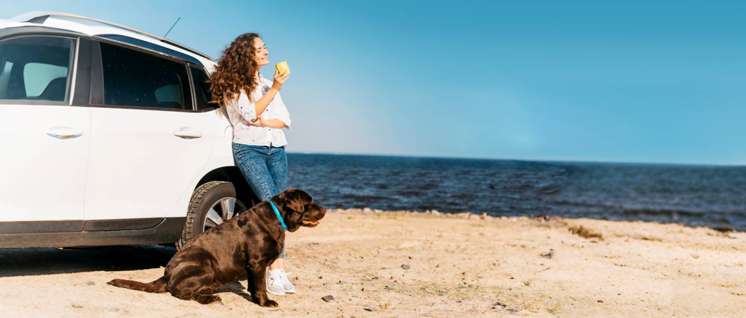 Плед для собак у машину Pecute з жорсткою основою, 136x60 см, захист сидіння, водовідштовхуючий, анти-царапин, для собак до 150 кг, чорний з зеленим кантом