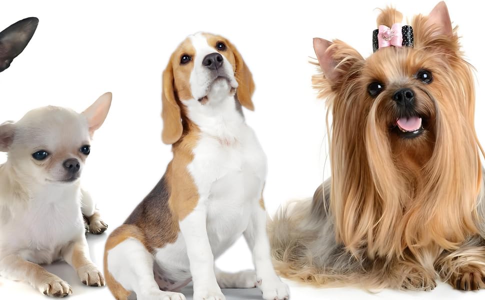 FOURPAW Robuste: складана переносна клітка для собак з металевого дроту, з піддоном, чорна, 76.2 x 48.3 x 53.3 см