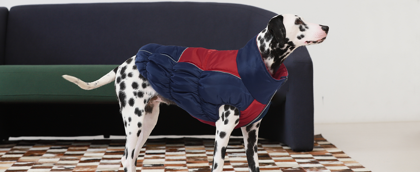 Зимові куртки та зимові пальта для собак IECOii, тепла зимова куртка для собак, пальта для собак, зимові пальта для собак, куртка-жилет для собак, теплий зимовий одяг для собак, водонепроникні куртки для собак, зелений колір, розмір M (обхват грудей: 53 см), армійсько-зелений