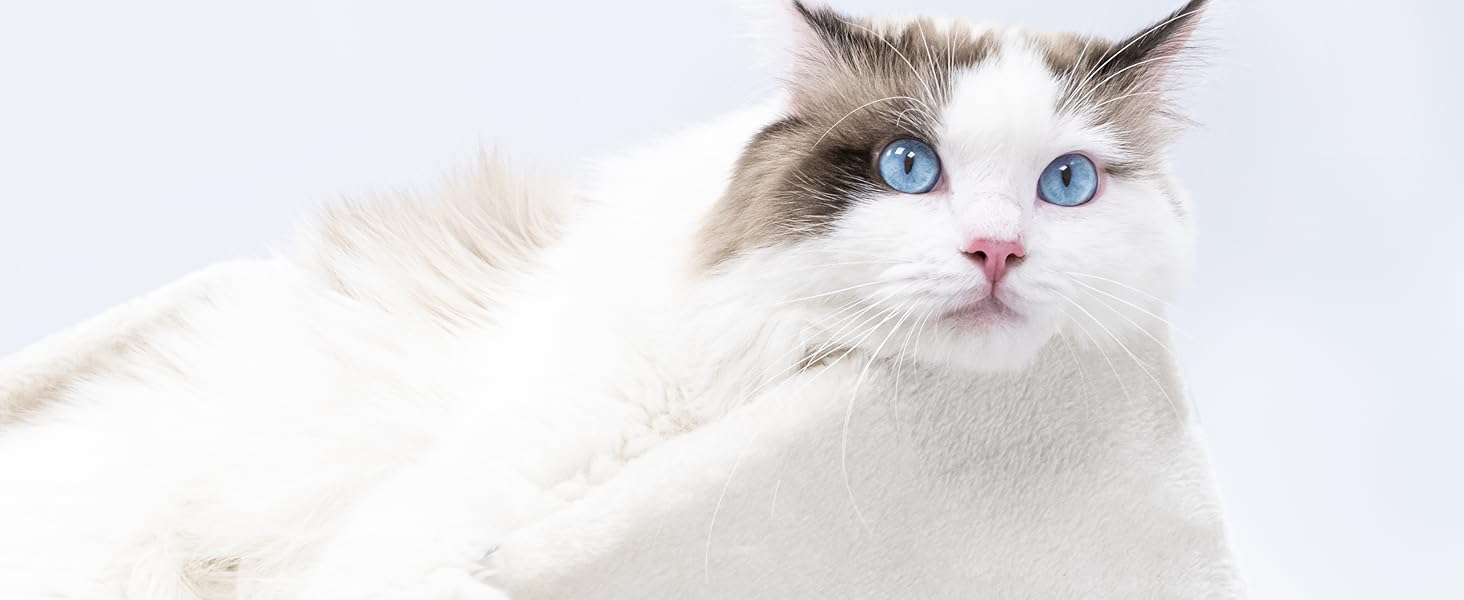 Дряпка для котів Petrebels Lodge 107 см, стійка, з XXL лежаком, для літніх котів, бежевий/кремовий колір