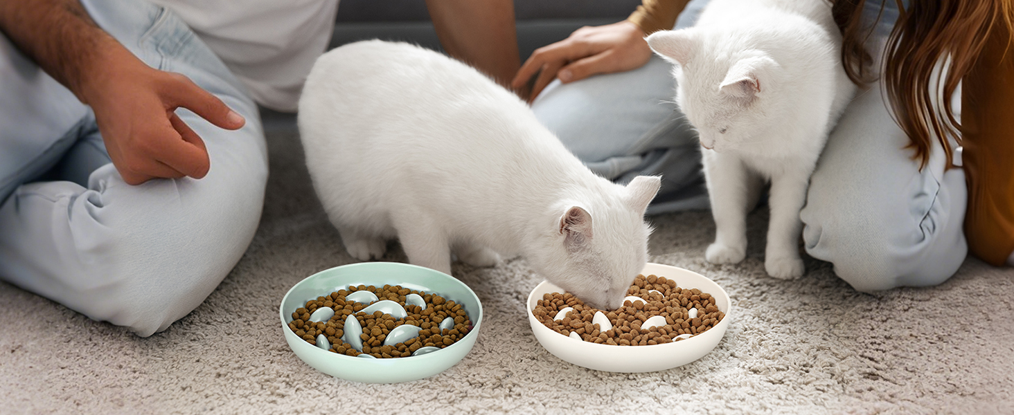 PETTOM Миска для котів протиковзаюча, піднята, керамічна, для повільного годування, біла. Підходить для котів та маленьких собак.