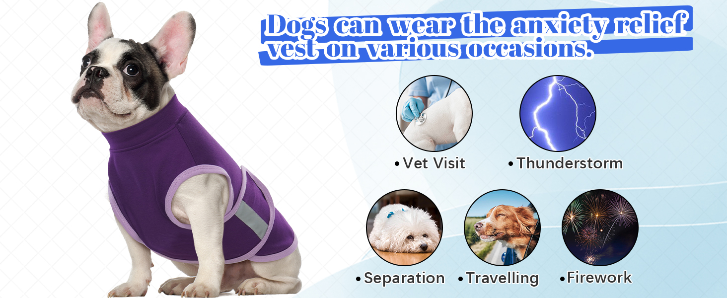 Жилет-заспокійник для собак IECOii, фіолетовий, S (обхват грудей 41-51 см), з відбиваючими смугами