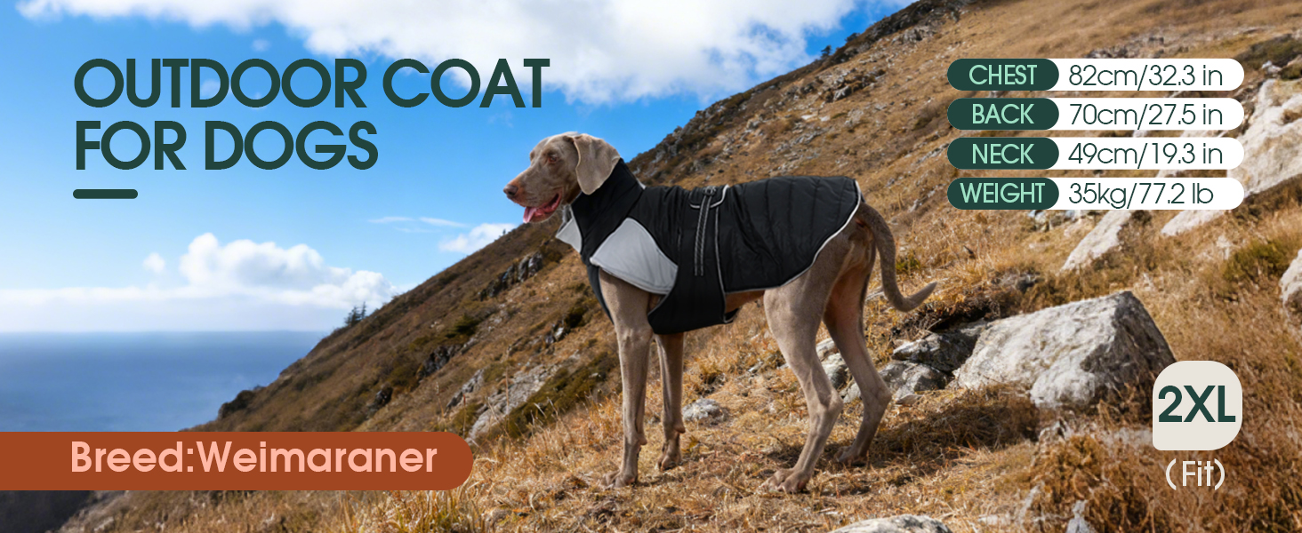 Водонепроникна та вітронепроникна куртка для собак Kuoser, теплий зимовий халат для великих собак, рожева XL