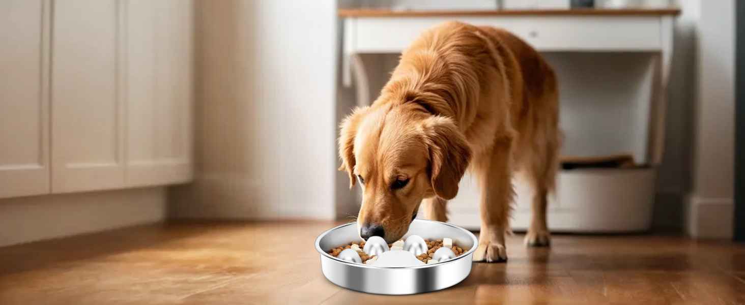 PETTOM Миска для собак протиковтання, нержавіюча сталь, Ø21 см, велика, повільне годування 21*21*4 см