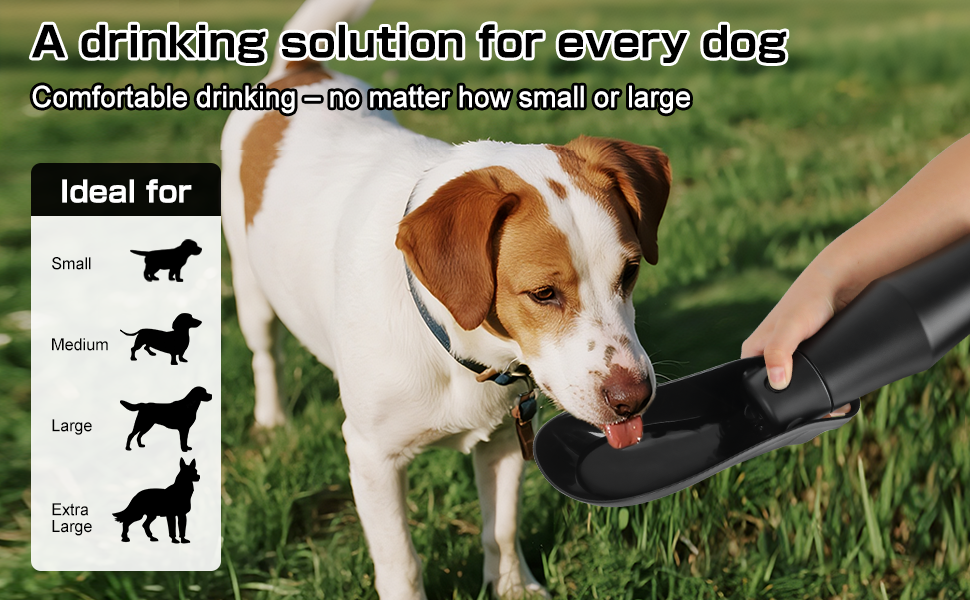 Водяна пляшка для собак на прогулянці - 750 мл, з нержавіючої сталі, подвійні стінки, вакуумна ізоляція, чорна, без витоку