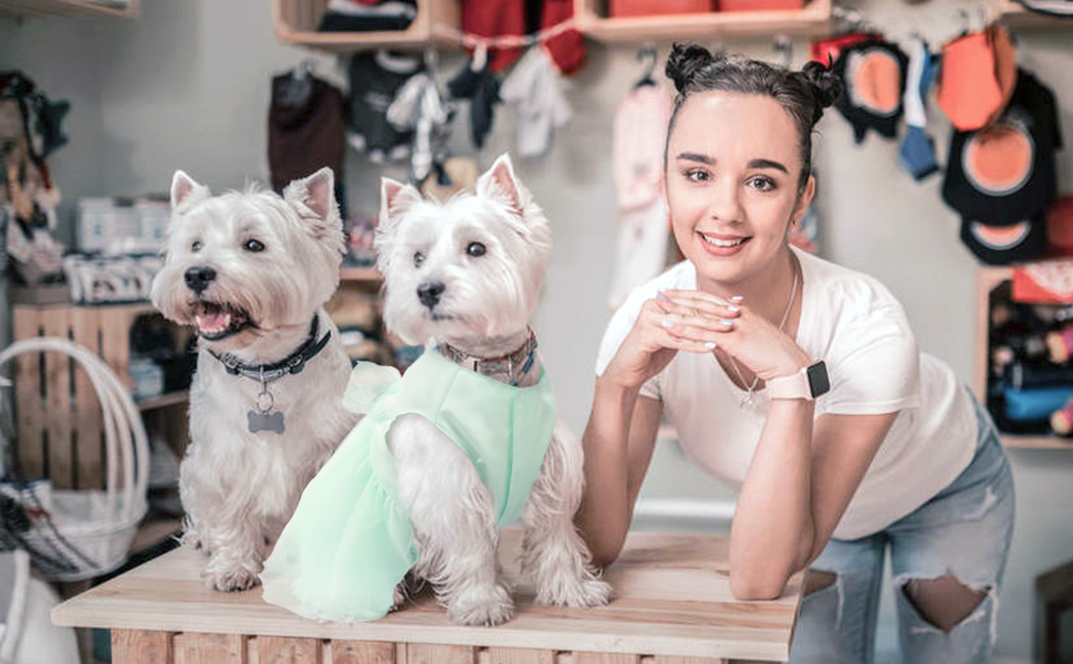 Сукня для собак на весілля: розкішний плаття для цуценят, літнє вбрання принцеси, сукня з бантиком для маленьких дівчаток (XL, Зелений)