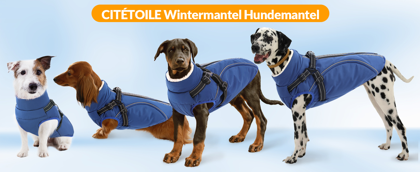 Теплий зимовий одяг для собак Citétoile: куртка з блискавкою, вітрозахисна, з відбиваючими смугами та нагрудником. Підходить для собак маленьких, середніх та великих порід. Сірий колір, розмір S.