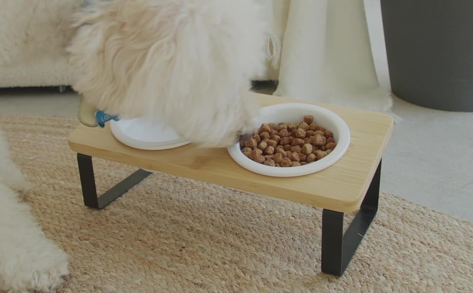 Підвищена годівниця для котів, ергономічна керамічна годівниця з дерева та бамбука, для котів та маленьких собак