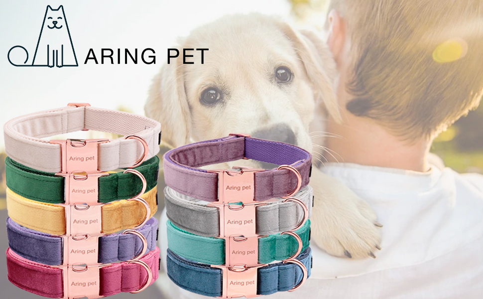 Елегантний ошийник для собак Aring з бантиком, м'який велюровий ошийник, регульований, темно-зелений, для дівчаток та хлопчиків