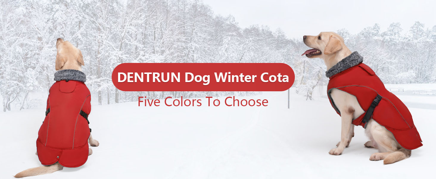 Водонепроникний теплий зимовий одяг для собак DENTRUN, флісова підкладка, куртка для собак середнього розміру (Синій, M)
