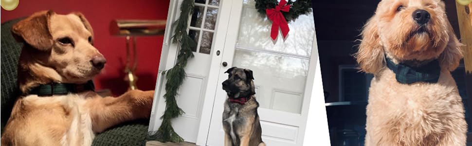 Нашийник для собак Unique Style з бантиком, регульований, для собак та котів, червоний, XXS-XL