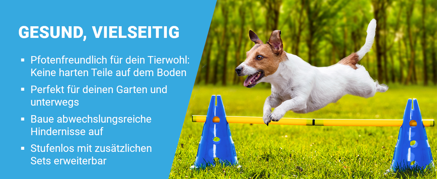 Набір для дресирування собак AMAZINGs Agility Set: перешкоди, тунель, кавалетті | Для аджиліті, спорту та ігор